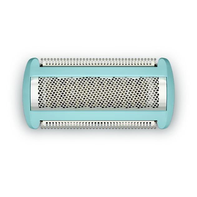 PHILIPS BODYGROOM REPLACEMENT HEAD BG2010/43